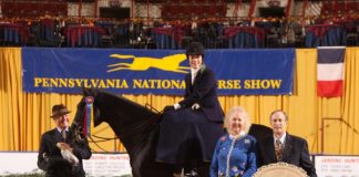 Devon Zebrovious Named Ladies Hunter Sidesaddle Champion at the Pennsylvania National Horse Show
