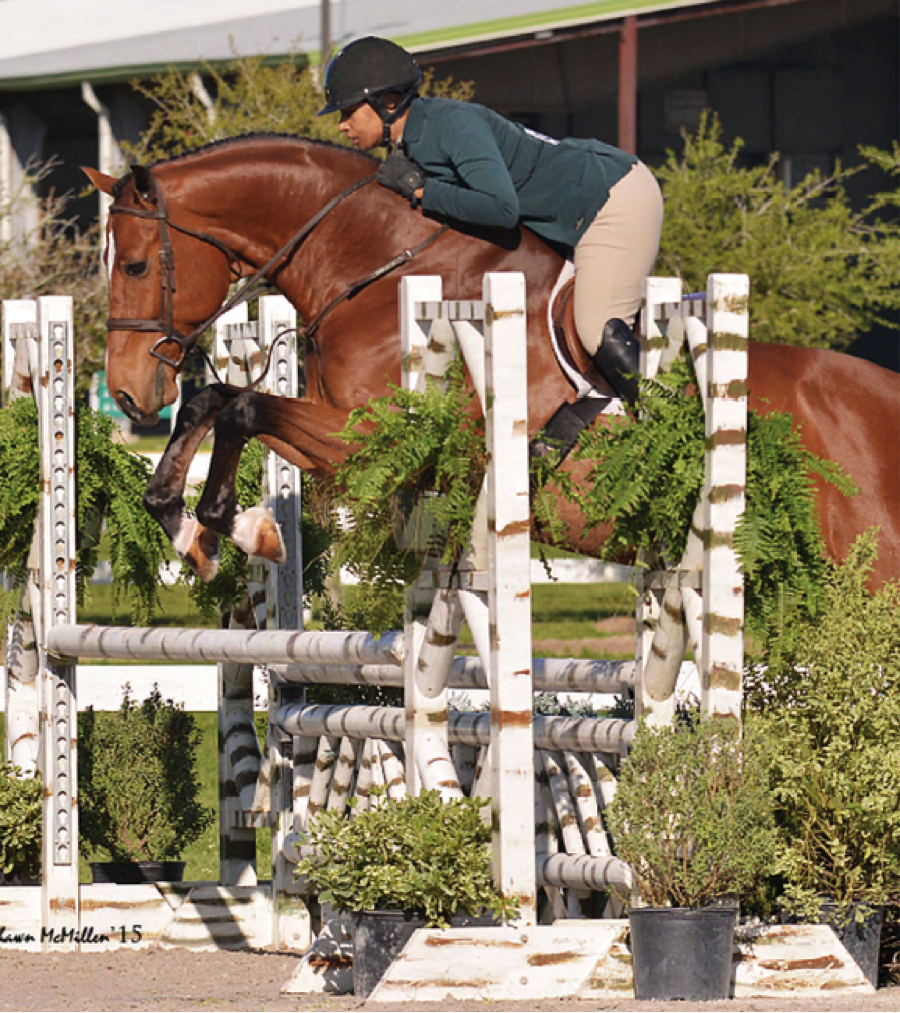 A Simple Catch Ride... Maybe Not - The Plaid Horse Magazine