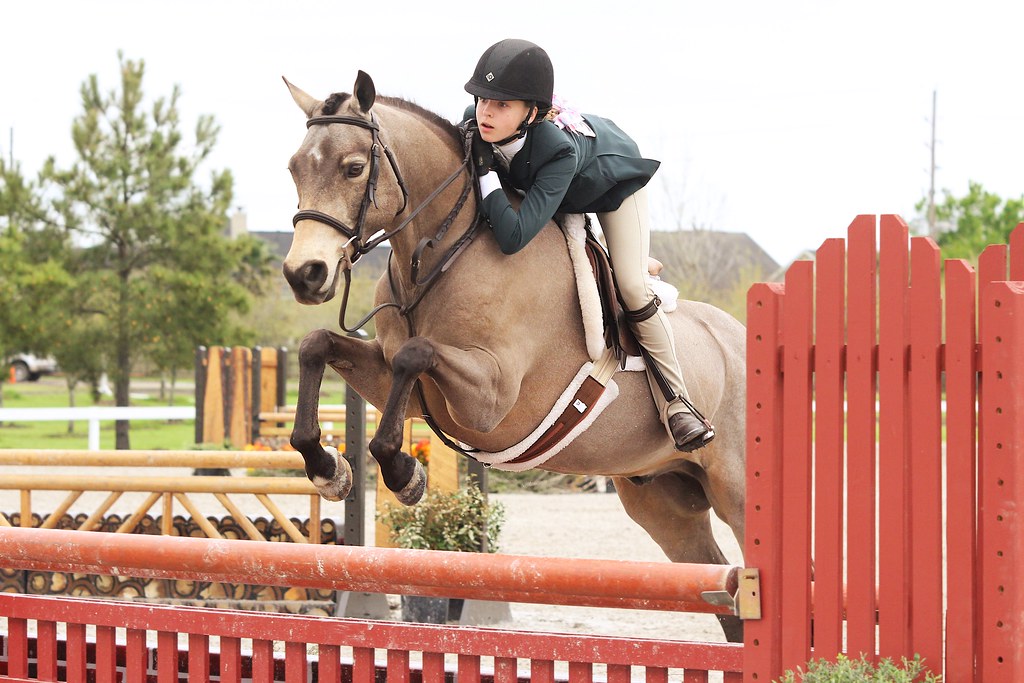 A Simple Catch Ride... Maybe Not The Plaid Horse Magazine