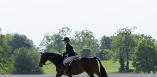 Think, Not Just Feel: The Inside Leg to Outside Rein