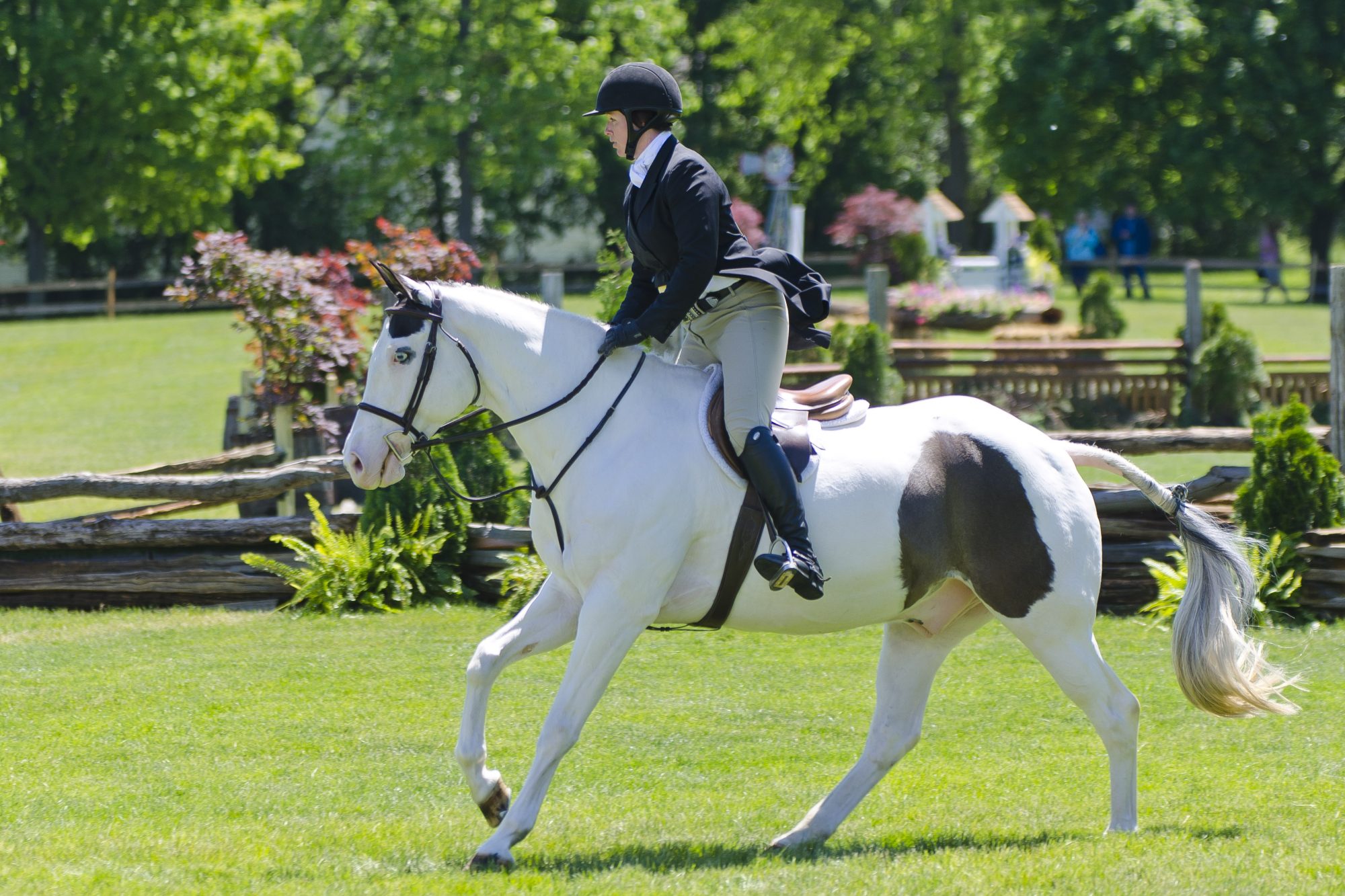 What is The Hunter Derby? The Plaid Horse Magazine