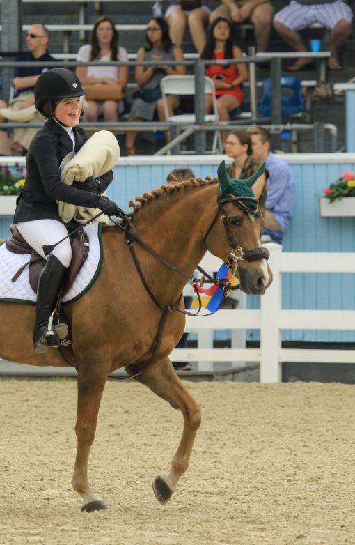 Dade Dominates Devon Pony Jumpers The Plaid Horse Magazine