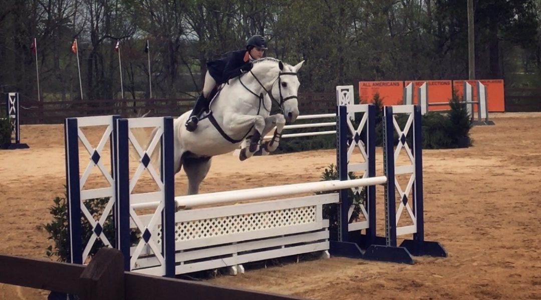 College Equestrian Teams What’s The Best Fit For You? NCAA vs. IHSA