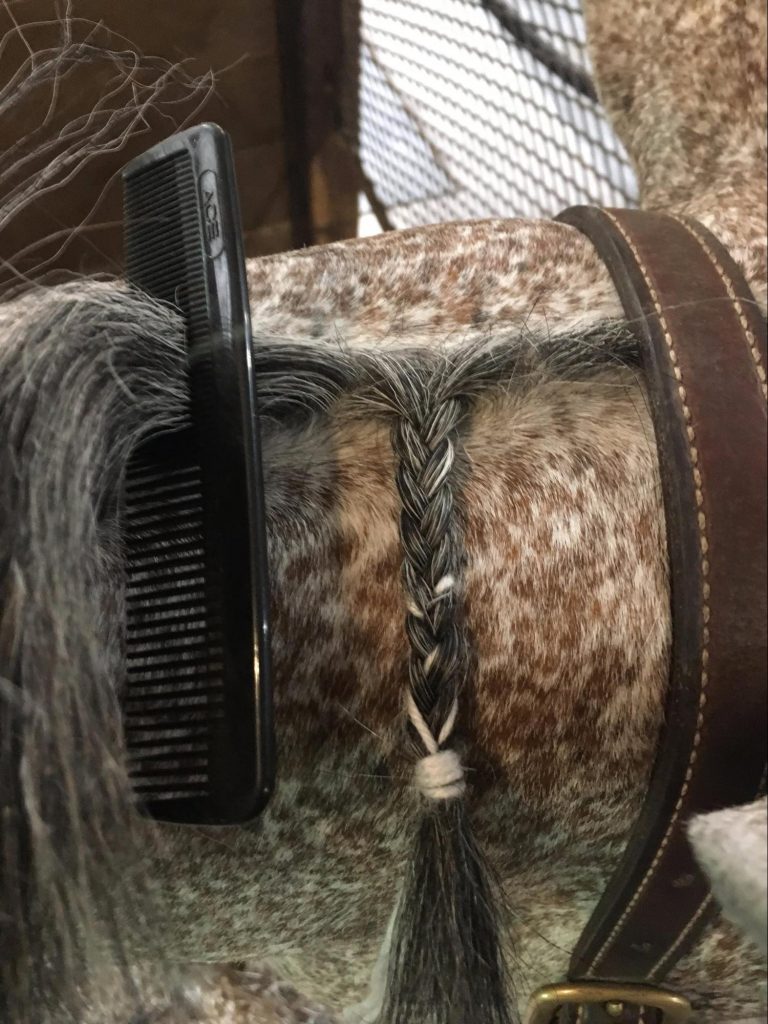 How to Braid a Mane and Tail for the Hunter Ring The Plaid Horse Magazine