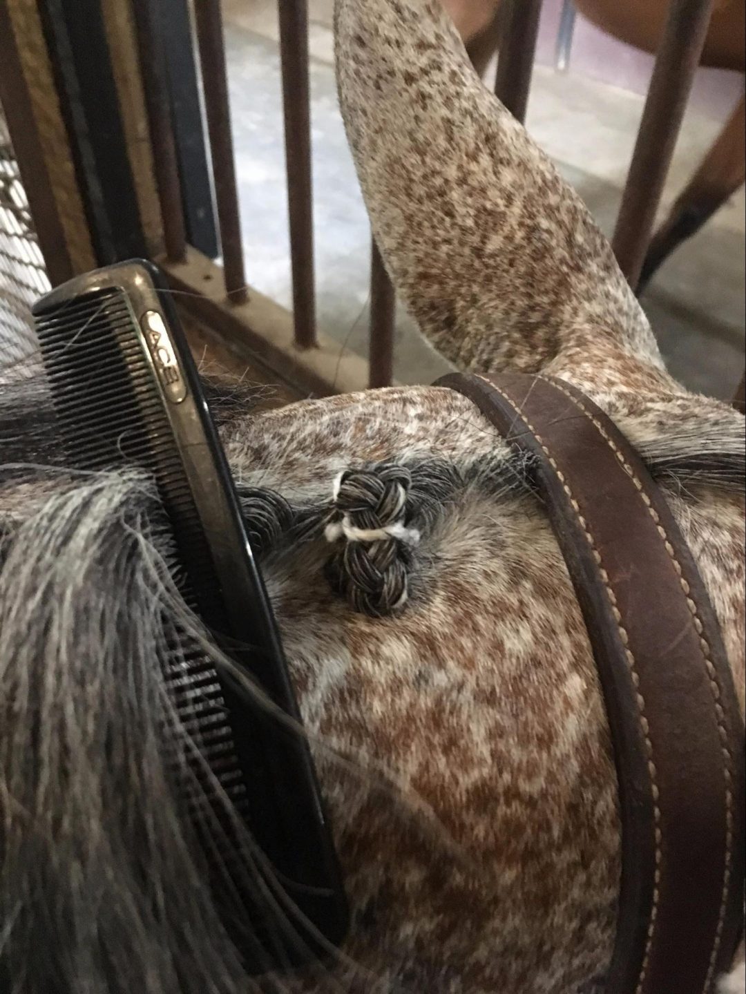 How to Braid a Mane and Tail for the Hunter Ring The Plaid Horse Magazine