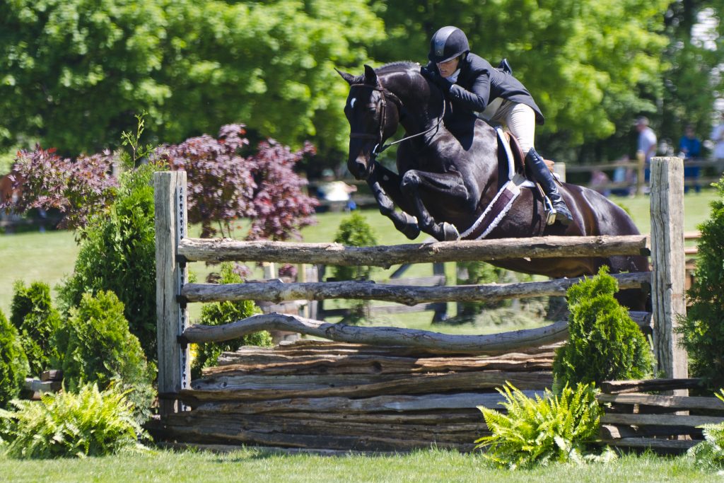 USEF Statement on Temporary Lifting of Glefke and Farmer Suspensions The Plaid Horse Magazine