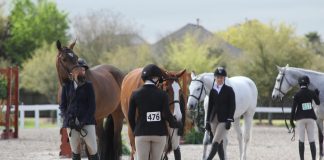 The More the Horse Show Changes, The More It Stays the Same
