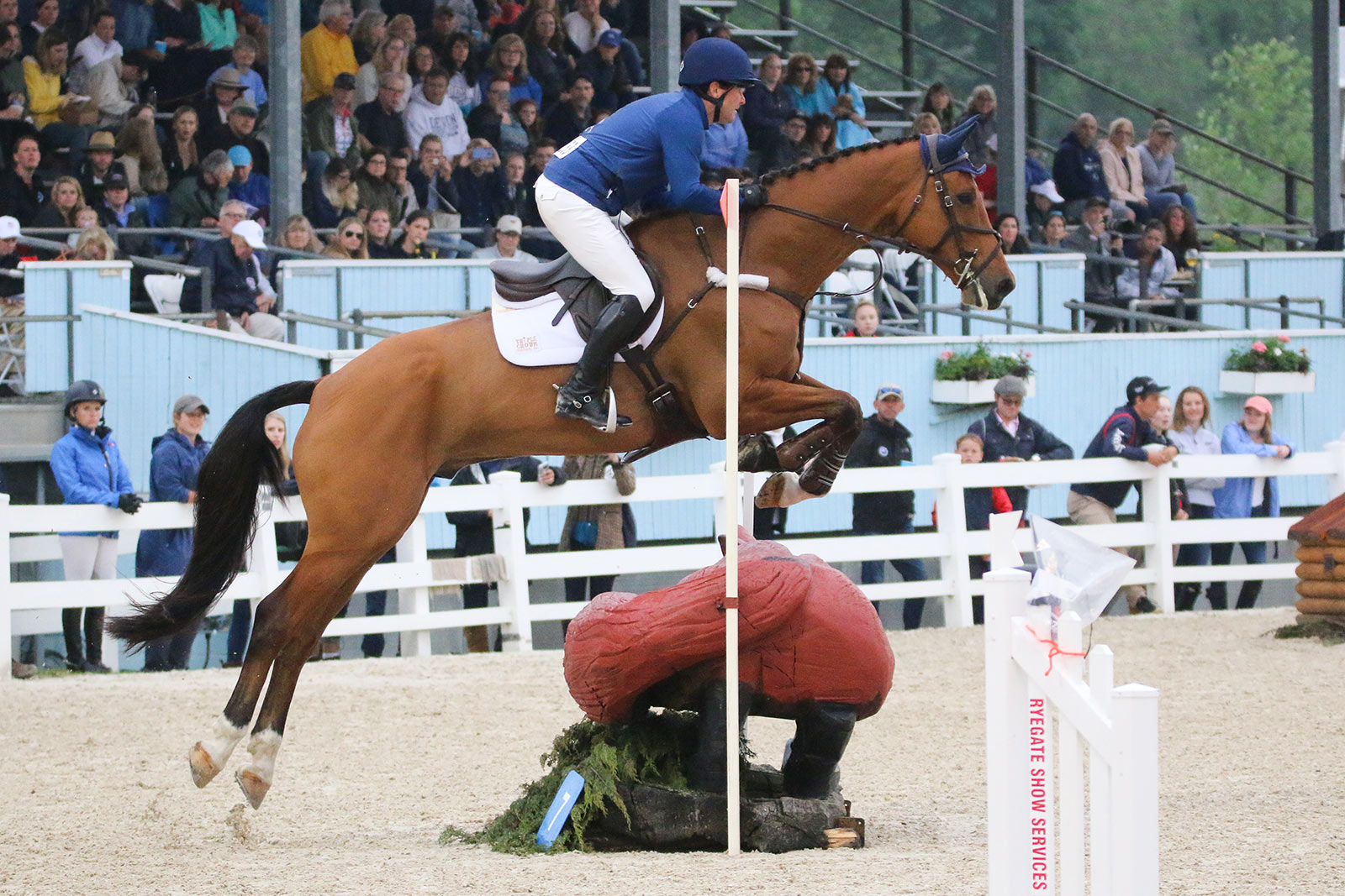 50,000 Devon Arena Eventing Competition The Plaid Horse Magazine