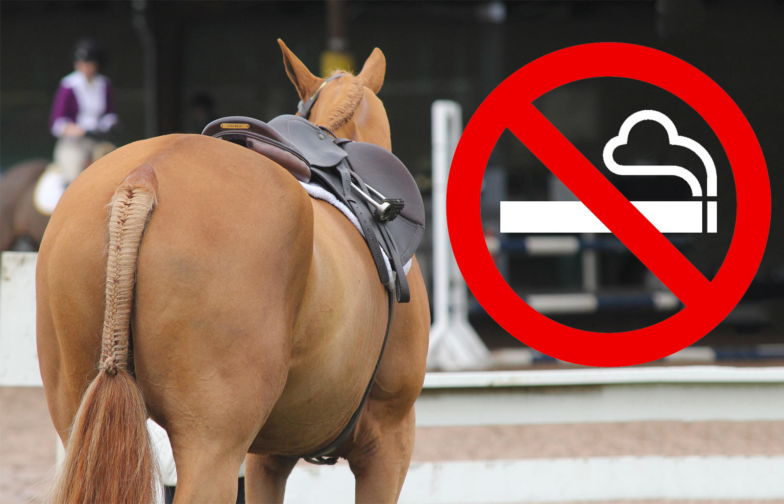 horse smoking a cigarette It's Time to Ban Smoking at Horse Shows
