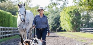 Val Renihan: Midwestern values in the modern world