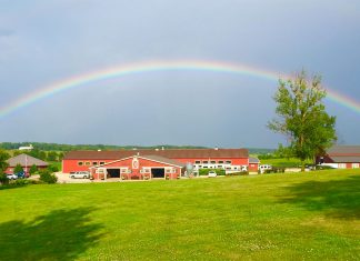 The Heartbeat of Chicago Equestrian: Bull Run Equestrian Center