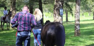Happy Father’s Day to the Horse Show Dads