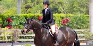 Eight Ways to Take Summer Show Season By Storm
