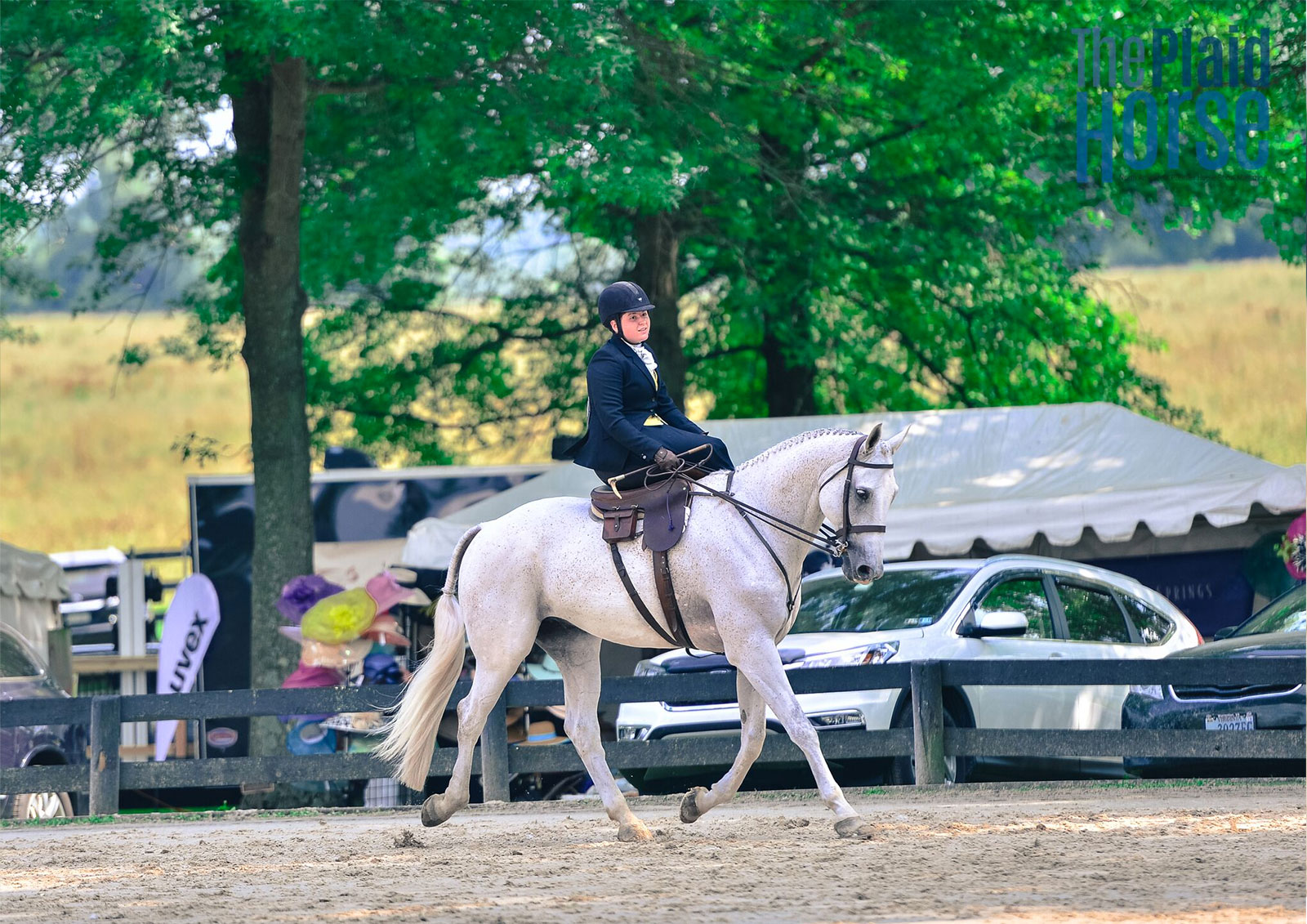 Saturday Scenes from Upperville Leadline, Family Class and Sidesaddle