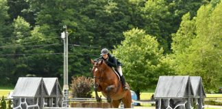 Devon Macleod Celebrates Hunter Derby Win at Vermont Summer Festival