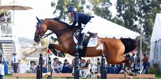 Ashlee Bond and Donatello 141 Dominate the FEI CSI2* $35,000 1.45m Gold Tour Speed Stake