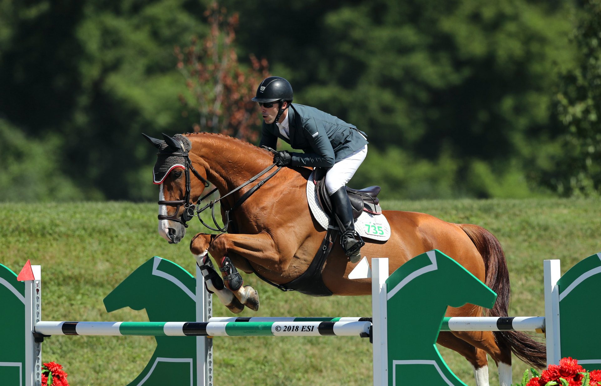 Hunter, Jumpers, and Eq, Oh My at HITS ontheHudson IV! The Plaid