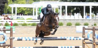 Kelsey Thatcher and Everything Race to $7,500 Show Jumping Hall of Fame Junior/Amateur 1.40m Jumper Classic Victory at Equifest I