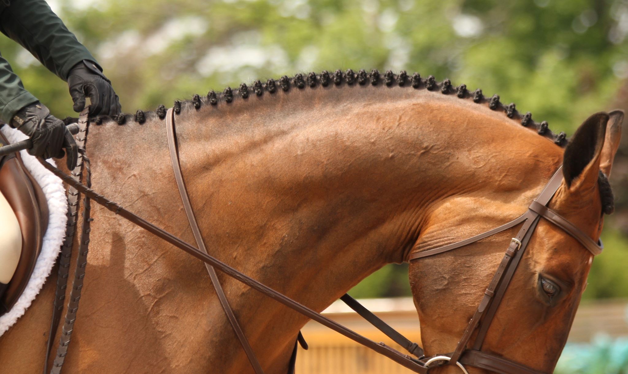 23 Perfect Braid Photos That Will Make Your Type A Horse Show Heart
