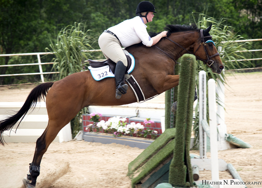 My Complicated Body in Breeches The Plaid Horse Magazine