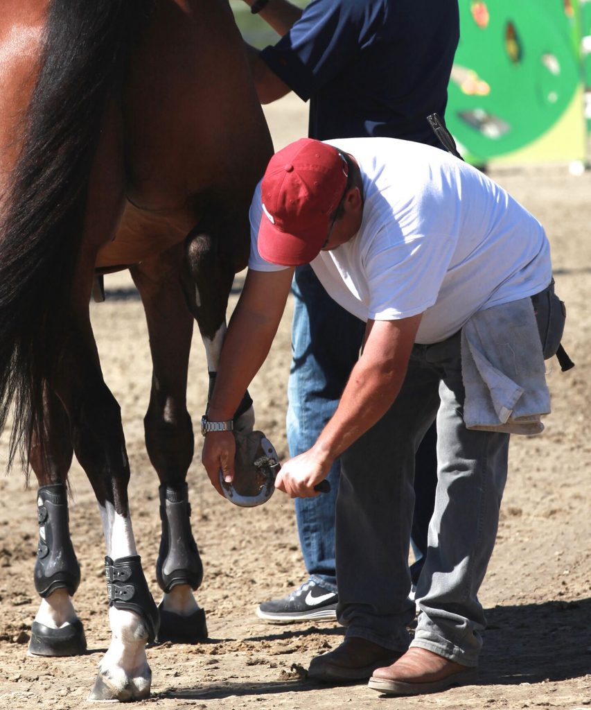 The Ethics of Employment in the Horse Industry The Plaid Horse Magazine