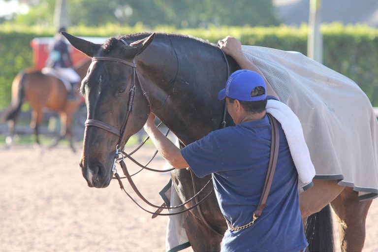 The Ethics of Employment in the Horse Industry The Plaid Horse Magazine