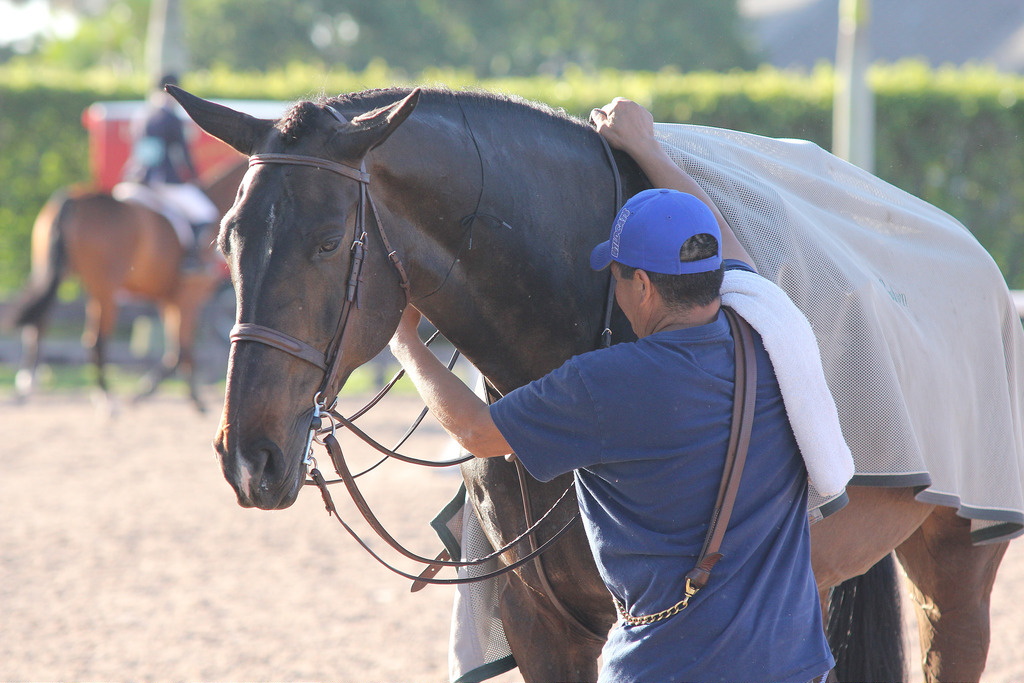 The Ethics of Employment in the Horse Industry The Plaid Horse Magazine