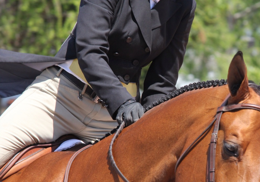 Safe Sport Who Are We Protecting? The Plaid Horse Magazine