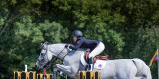Individual Golds for Farish, Pielet and Stephenson at USHJA North American Show Jumping Championships During Adequan®/FEI North American Youth Championships