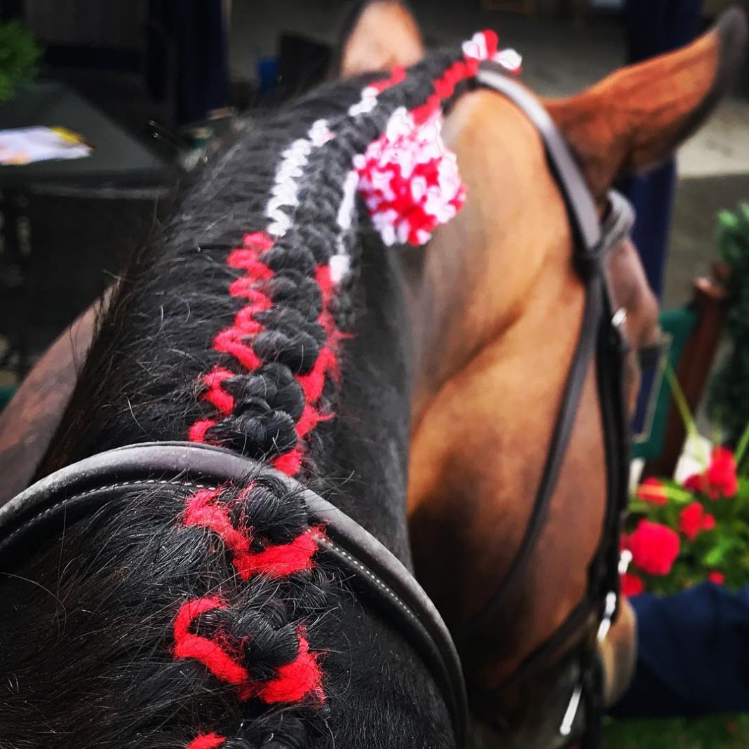 21 Times the Braider Was Extra in the Best Way The Plaid Horse Magazine