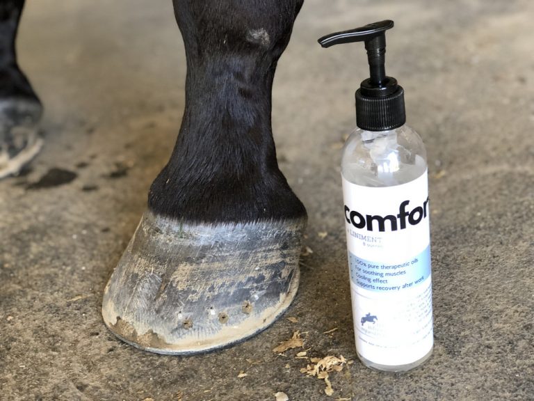 Adding Essential Oils Into Your Horse Care Routine with The Infused