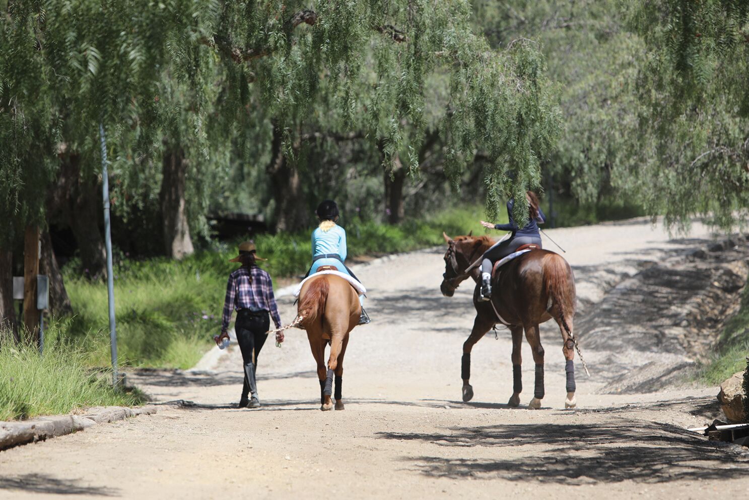 All Smiles at Caitlin Maloney’s Shamrock Show Stables The Plaid Horse Magazine