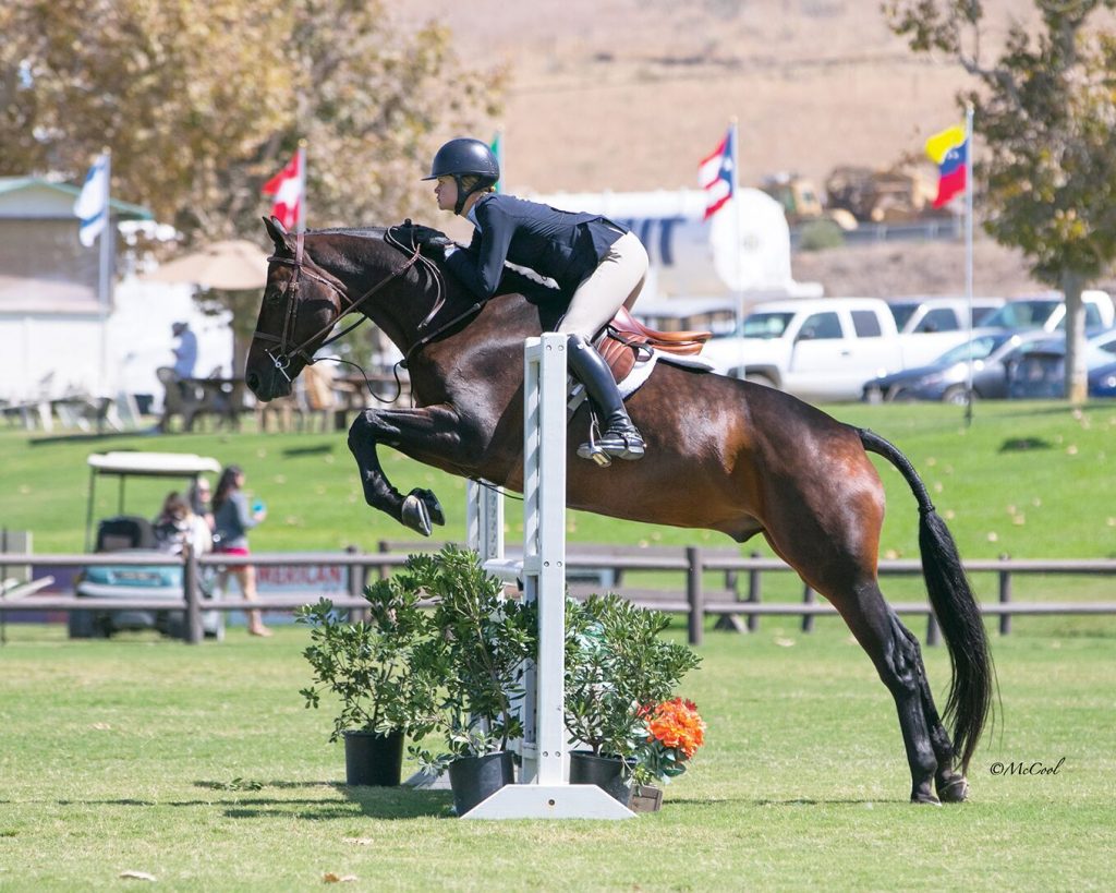 All Smiles at Caitlin Maloney’s Shamrock Show Stables The Plaid Horse Magazine