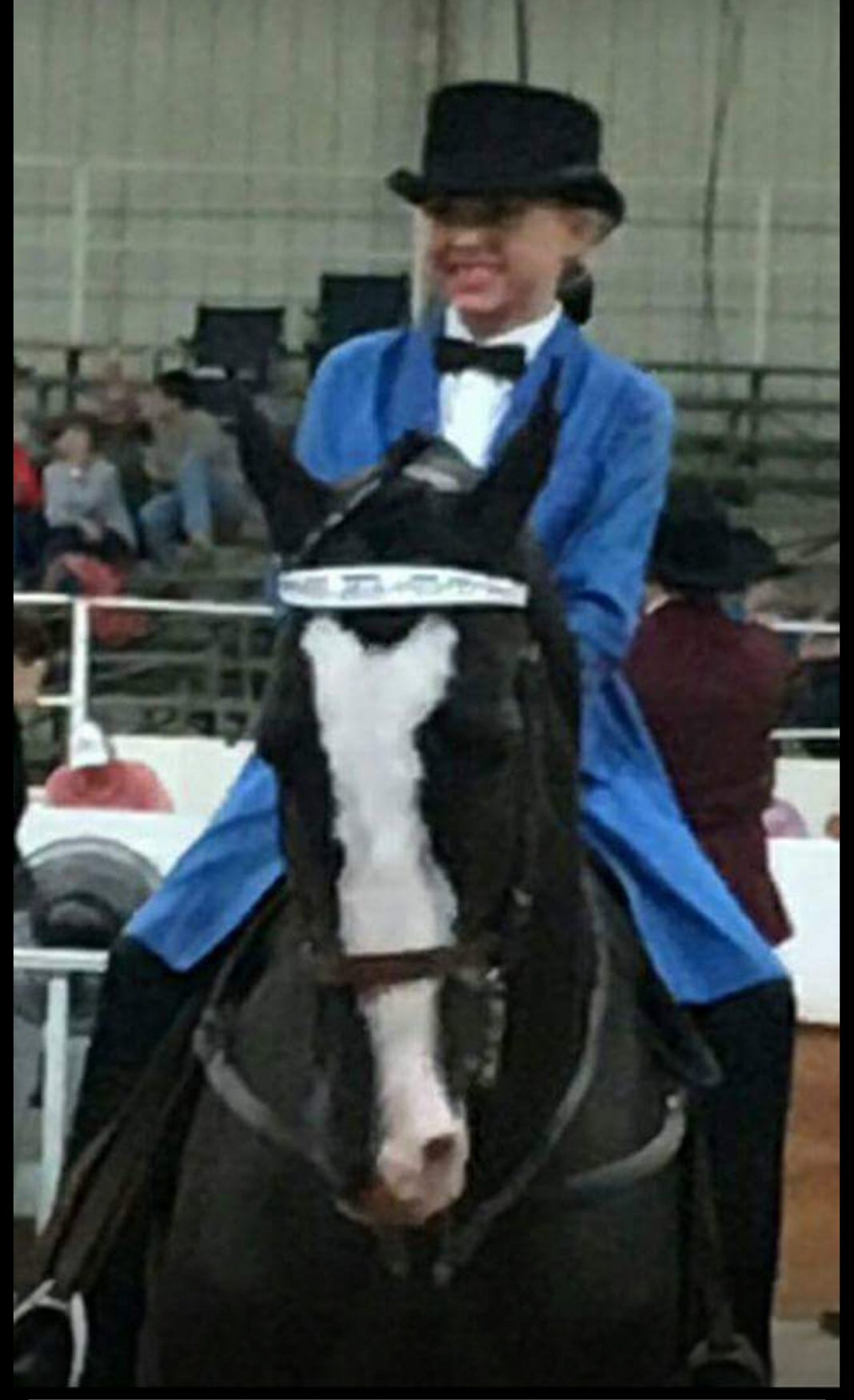 From World Grand Championships in the Tennessee Walking Horse Ring to