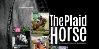 The Plaid Horse at 15: A Look In