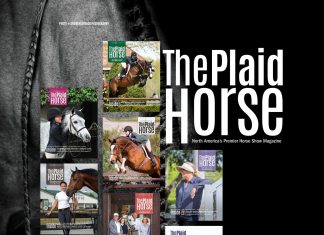 The Plaid Horse at 15: A Look In