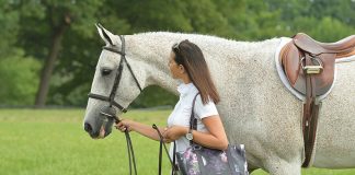 Equestrian Accessories for In and Out of the Barn