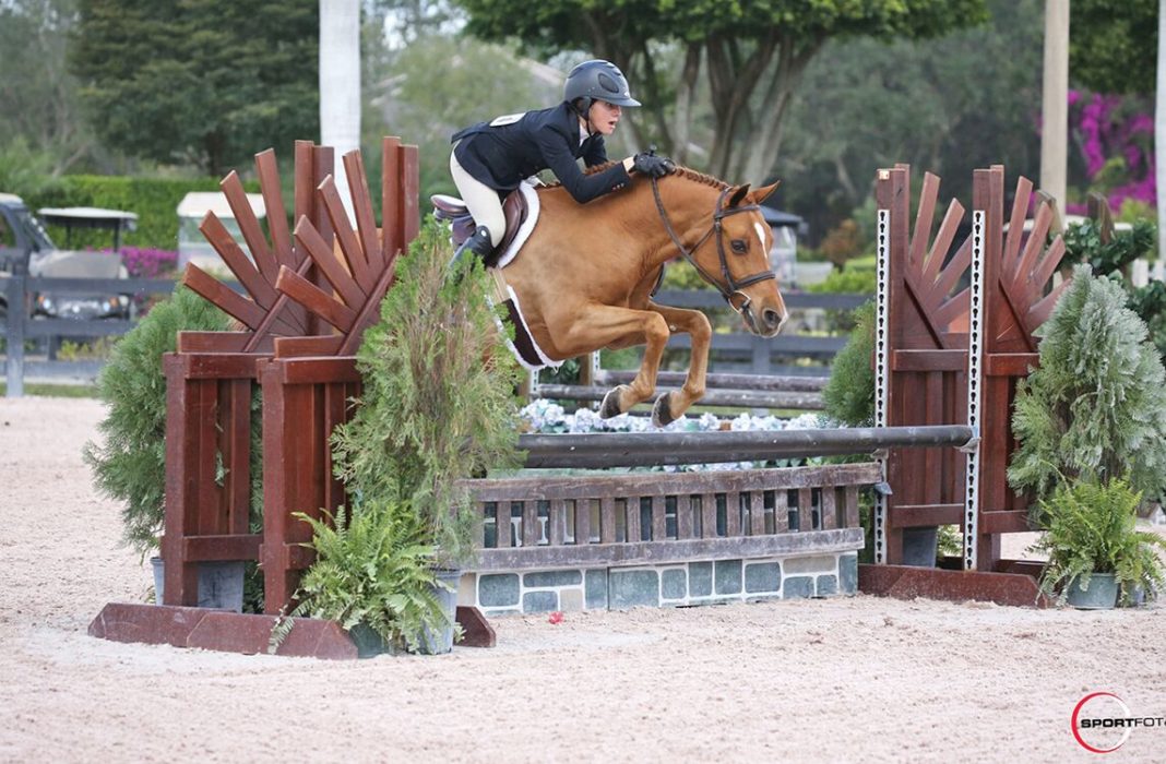 Partnerships In and Out of the Ring Pave Little Brook Farms’ Road to