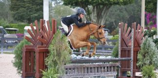 Partnerships In and Out of the Ring Pave Little Brook Farms’ Road to Success