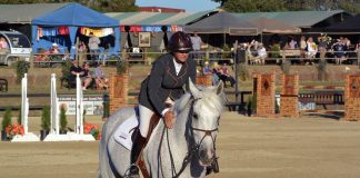 Non-Compete Contracts: Why Trainers and Veterinarians Need Them Now