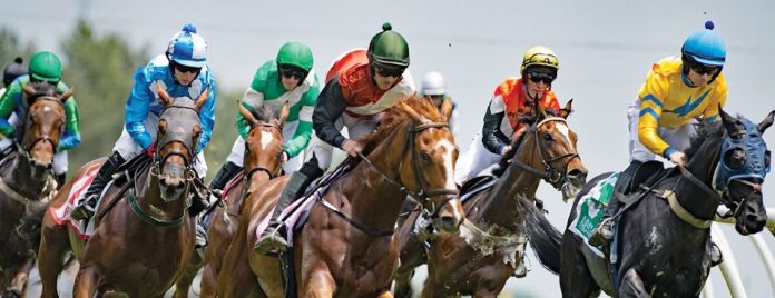 steeplechase4