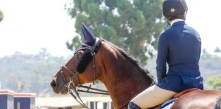 3 Things That Won’t Make You a Better Rider (And 3 Things That Will)