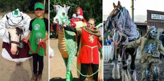 35 Horse Halloween Costumes That Are Delightfully Over The Top