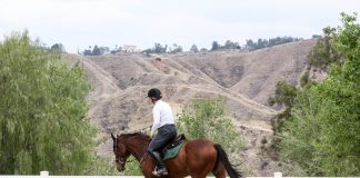 Surviving Adult Ammy Guilt: When You Feel Like You’re Not Worthy Of Your Horse