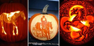 21 Horse Halloween Pumpkins You’ll Wish Were On Your Front Porch