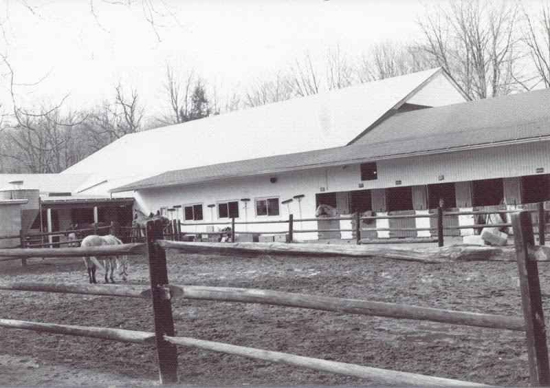 A Look Into the New Canaan Mounted Troop The Last Remaining Branch of