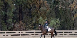 Tips to Survive No Stirrup November