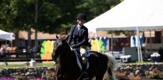 Not Being Able to Ride Made Me a Better Equestrian