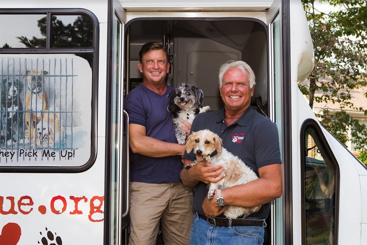 Life in the Doghouse Showcases Inspiring Story of Relentless Dog Rescue Efforts The Plaid
