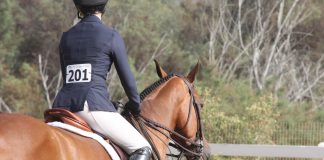 Facing my Inner Child in the Show Ring